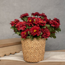 10.5" Red Zinnia Spray