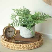 12.75" Mini Fern in Stone Pot