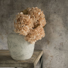 24" Beige Hydrangea Spray