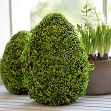 Belmont Egg Moss Decor – Green/Brown 9.8" x 15"