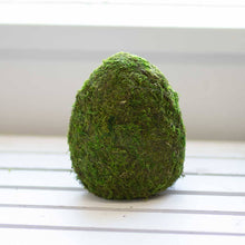 6.5" Moss Green Easter Egg Decor – Spring Accent