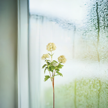 30-inch Viburnum Stem - Artificial Flower