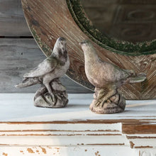 Pair of Aged Concrete Dove