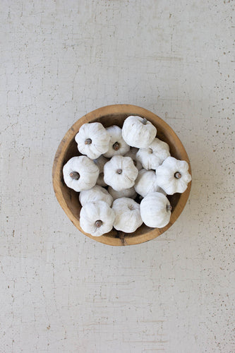 Bag of Dried White Mini Pumpkin