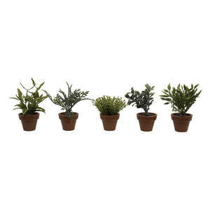 3.5" Faux Plant in Plastic Pot – 5 Assorted Styles