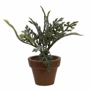 3.5" Faux Plant in Plastic Pot – 5 Assorted Styles