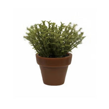 3.5" Faux Plant in Plastic Pot – 5 Assorted Styles