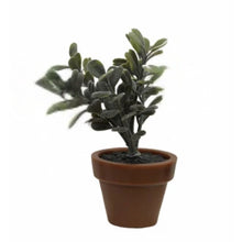 3.5" Faux Plant in Plastic Pot – 5 Assorted Styles