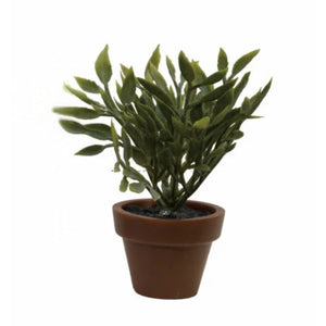 3.5" Faux Plant in Plastic Pot – 5 Assorted Styles