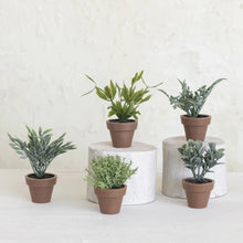 3.5" Faux Plant in Plastic Pot – 5 Assorted Styles