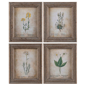 Framed Aged Floral Prints - Assorted Set of 4