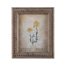 Framed Aged Floral Prints - Assorted Set of 4