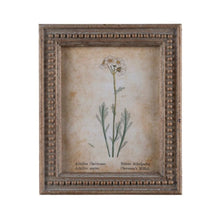 Framed Aged Floral Prints - Assorted Set of 4