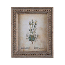 Framed Aged Floral Prints - Assorted Set of 4