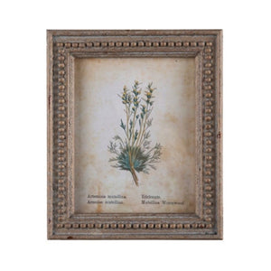 Framed Aged Floral Prints - Assorted Set of 4