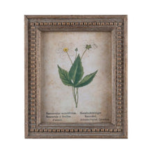 Framed Aged Floral Prints - Assorted Set of 4