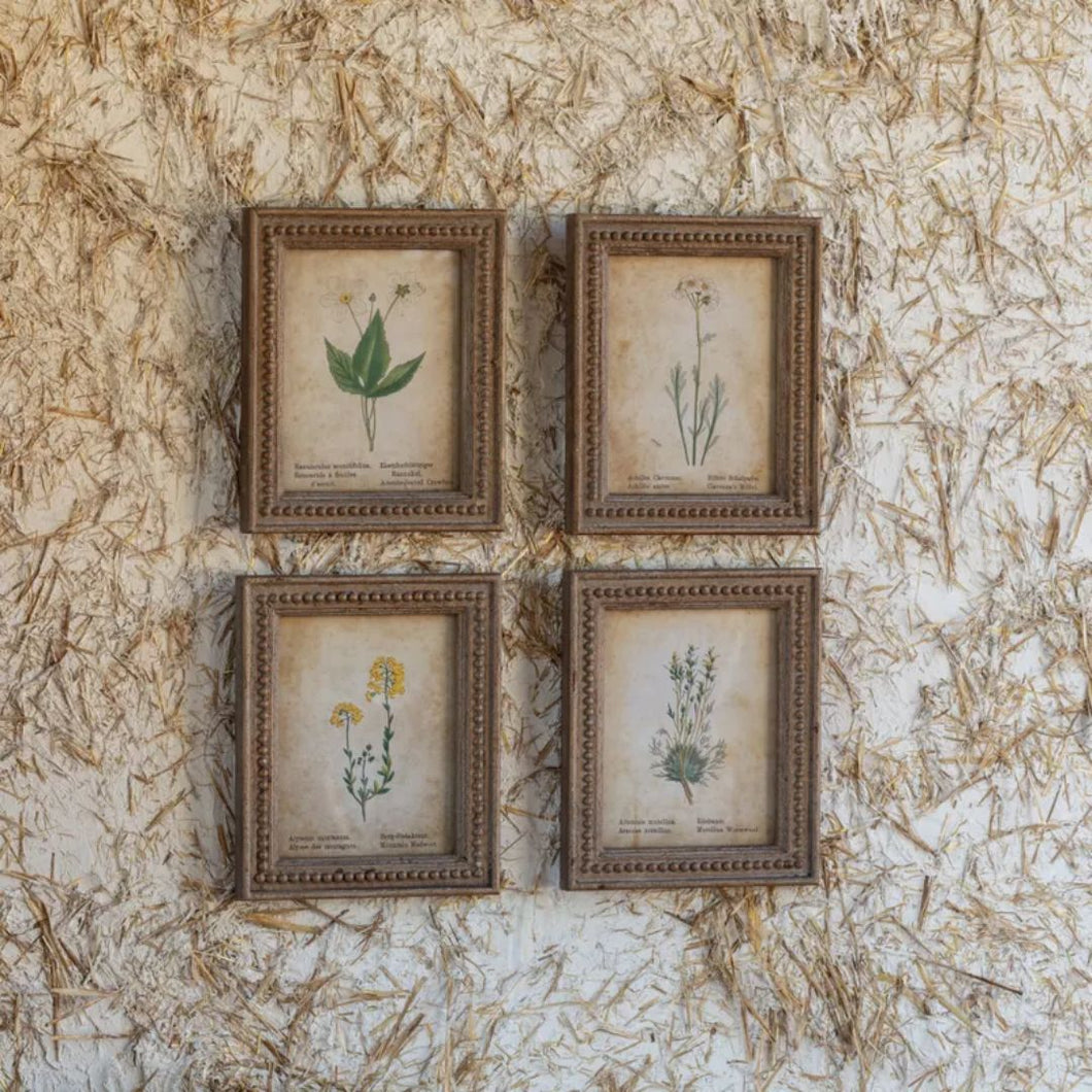 Framed Aged Floral Prints - Assorted Set of 4