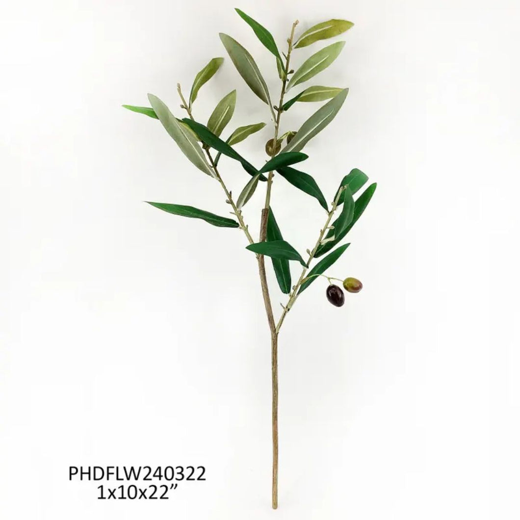 Piccolino Olive Stem