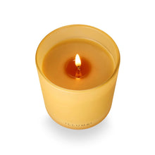 Santal Birch Refillable Candle